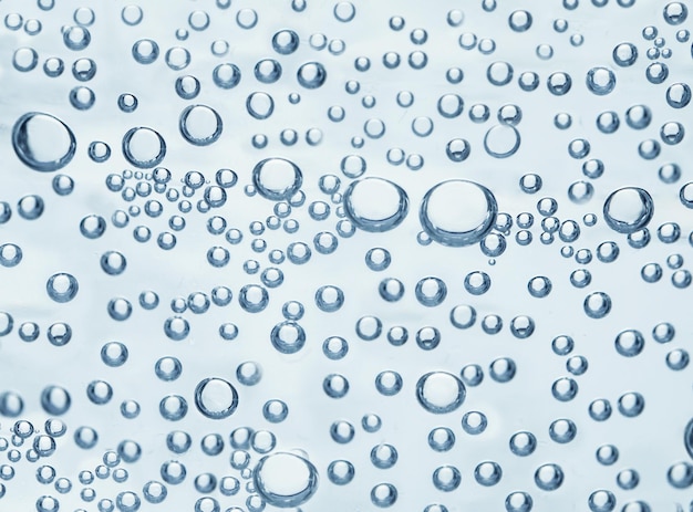 Eau Gazeuse Nature Grande bouteille